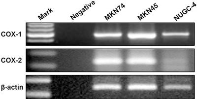 ω-3 and ω-6  Polyunsaturated Fatty Acids Regulate the Proliferation, Invasion and Angiogenesis of Gastric Cancer Through COX/PGE Signaling Pathway